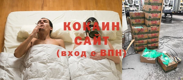 шишки Киреевск
