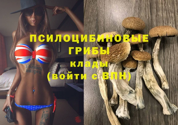 гашик Кинешма
