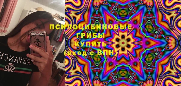 шишки Киреевск
