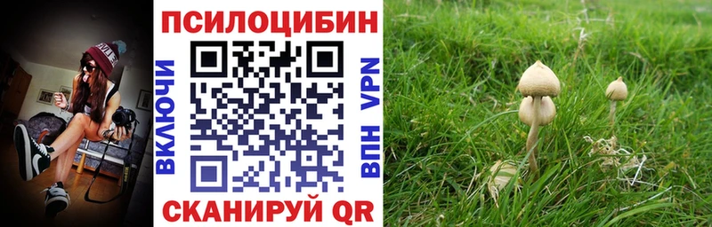 Галлюциногенные грибы ЛСД  Куровское 